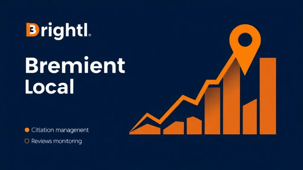 BrightLocal tool interface