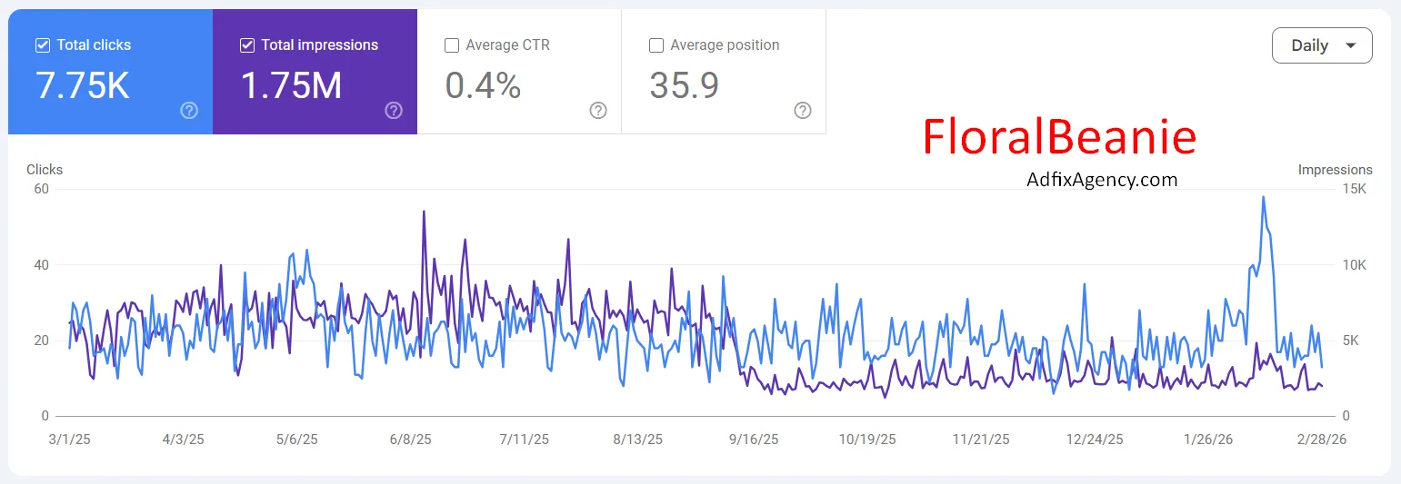 Google Search Console performance screenshot for FloralBeanie.com