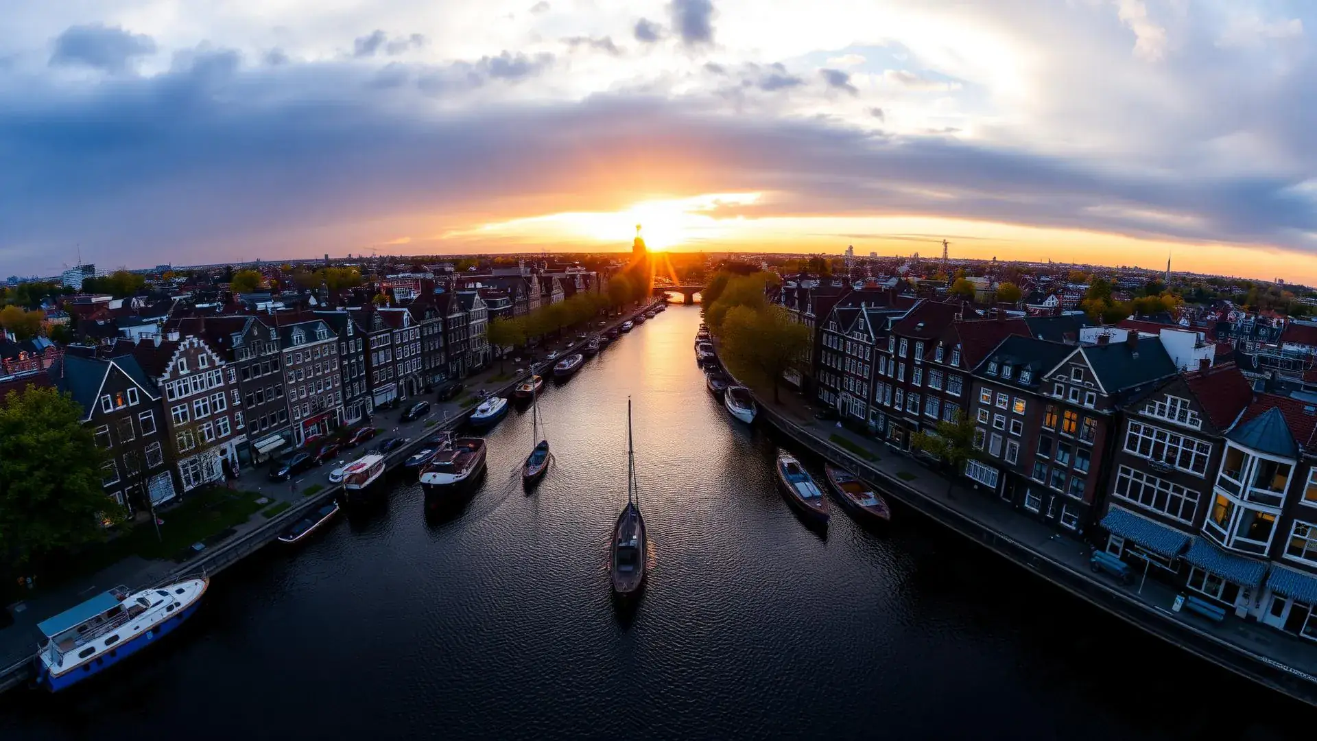Best SEO agency in Den Bosch - professional search engine optimization services by Adfix Agency
